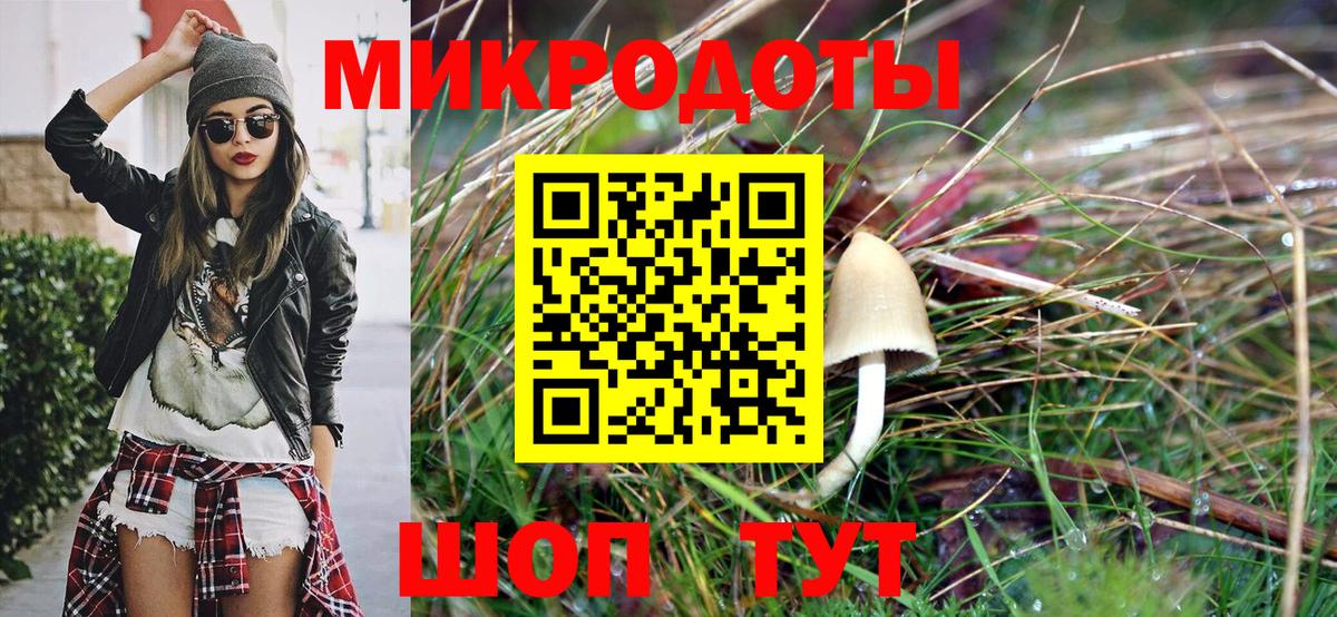 Галлюциногенные грибы GOLDEN TEACHER  Галлюциногенные грибы GOLDEN TEACHER  Вход с VPN  что такое наркотик  Мелеуз 