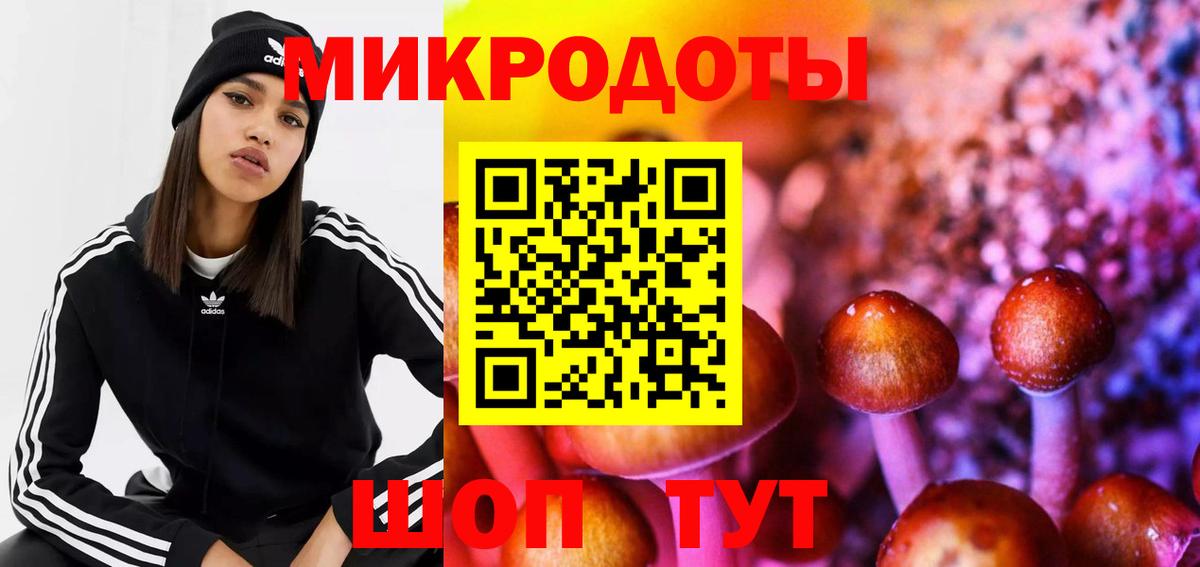 Псилоцибиновые грибы Psilocybine cubensis Мелеуз
